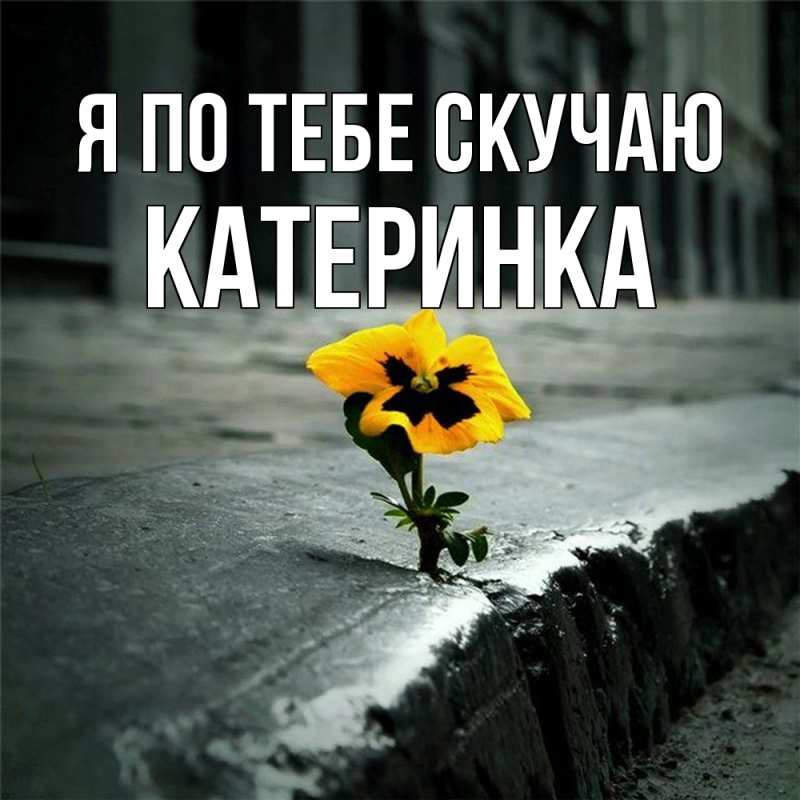 Картинка Я по тебе скучаю, Катеринка