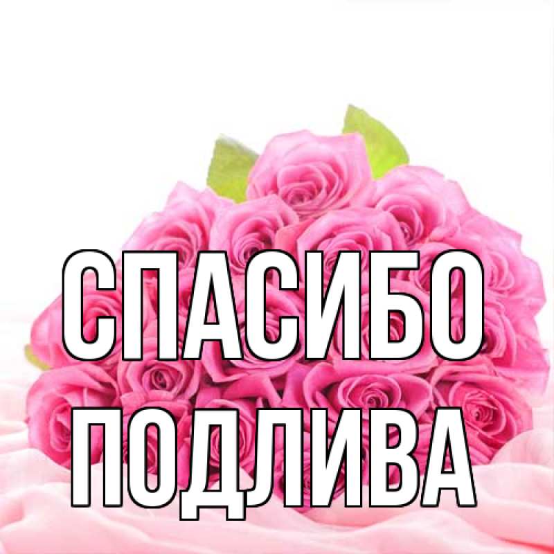 Картинка Спасибо, Подлива