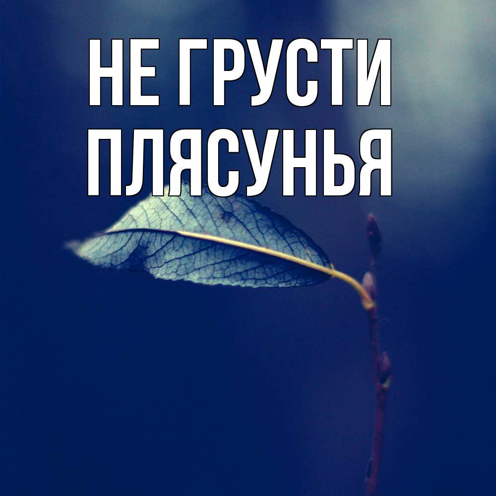 Открытка на каждый день с именем, Плясунья Не грусти растение Прикольная открытка с пожеланием онлайн скачать бесплатно 