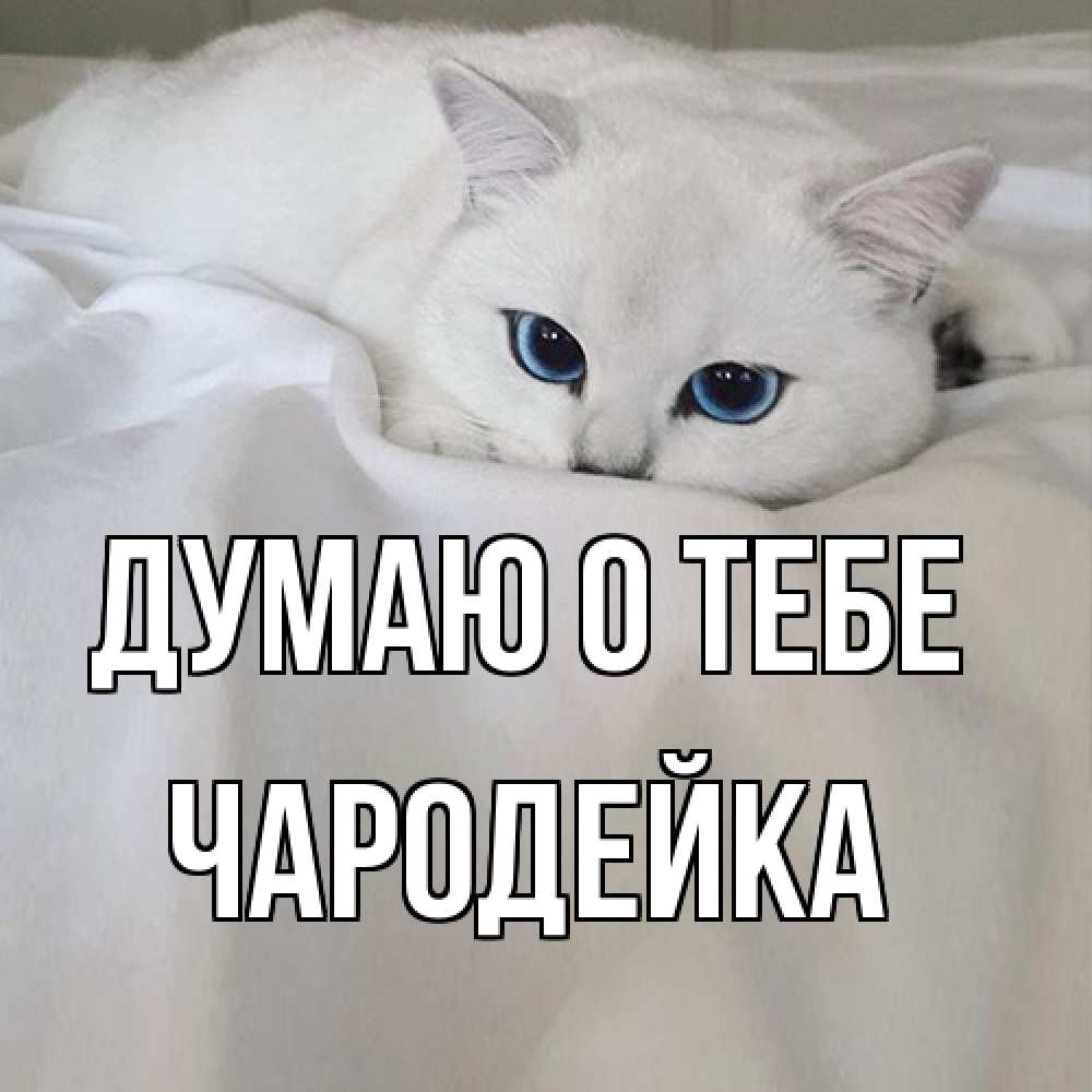 Открытка на каждый день с именем, Чаpодейка Думаю о тебе я очень по тебе скучаю и тоскую Прикольная открытка с пожеланием онлайн скачать бесплатно 
