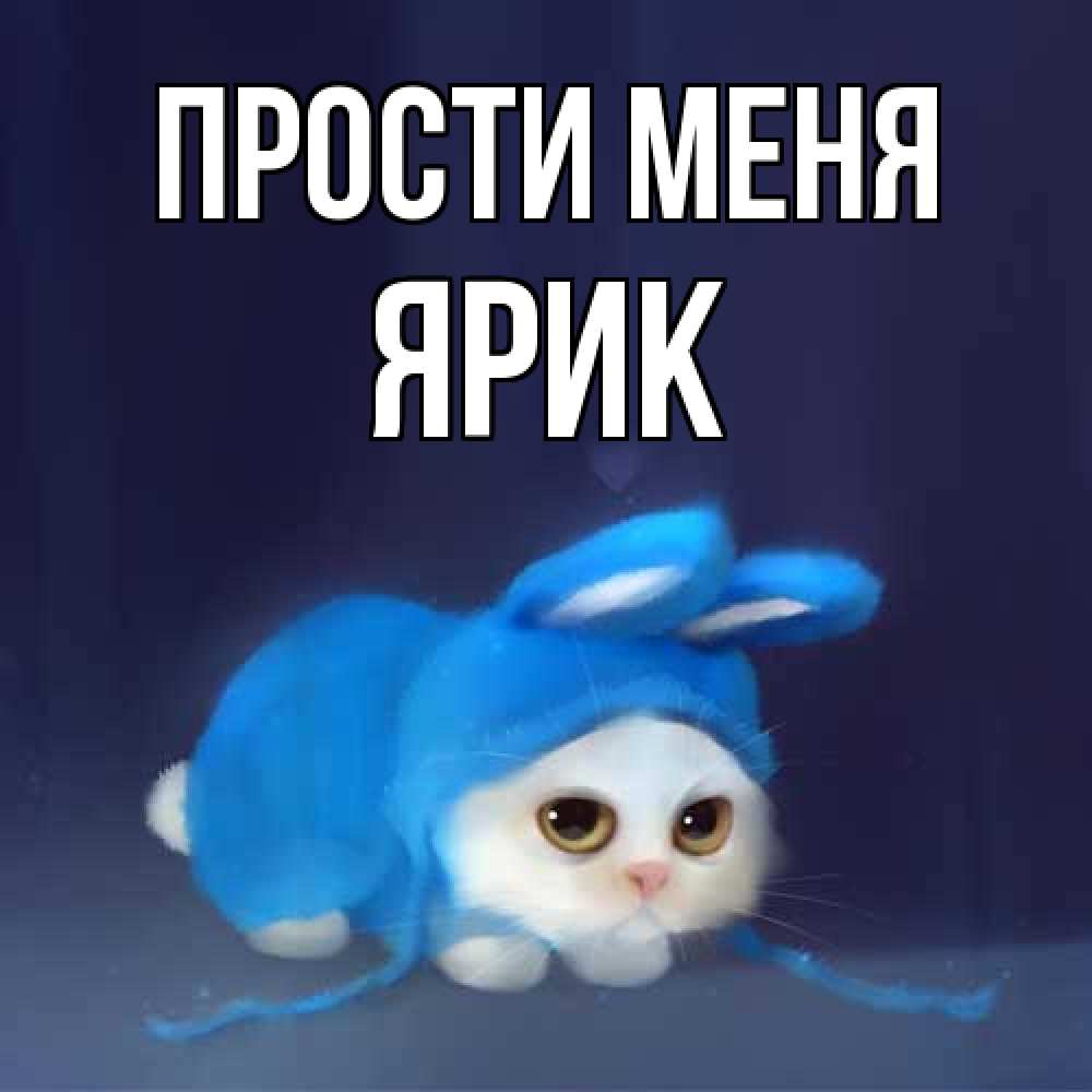 Открытка на каждый день с именем, Ярик Прости меня невинный котозай просит прощения Прикольная открытка с пожеланием онлайн скачать бесплатно 