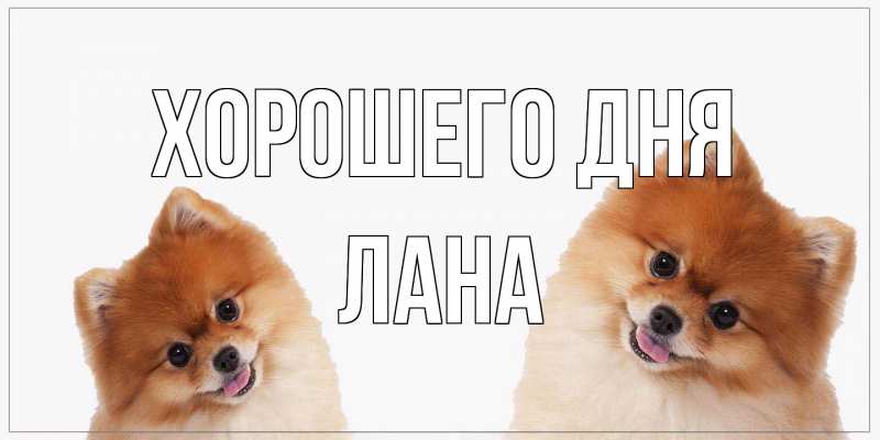 Картинка Хорошего дня, Лана