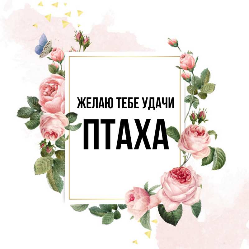 Картинка Желаю тебе удачи, Птаха
