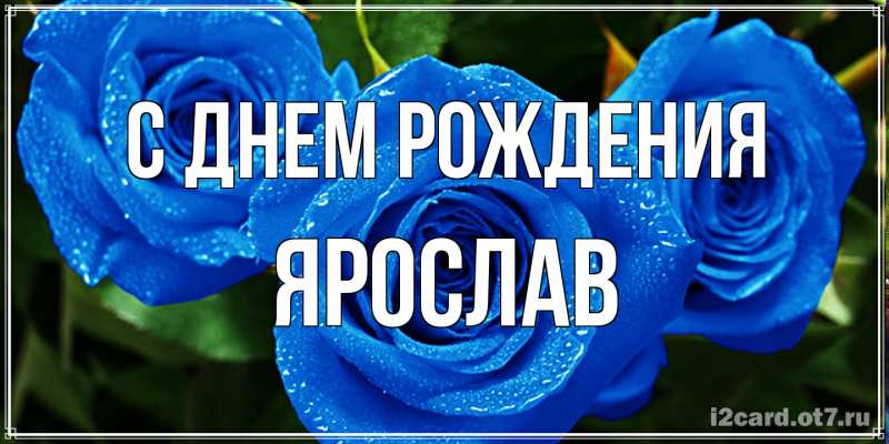 Картинка С днем рождения, Ярослав
