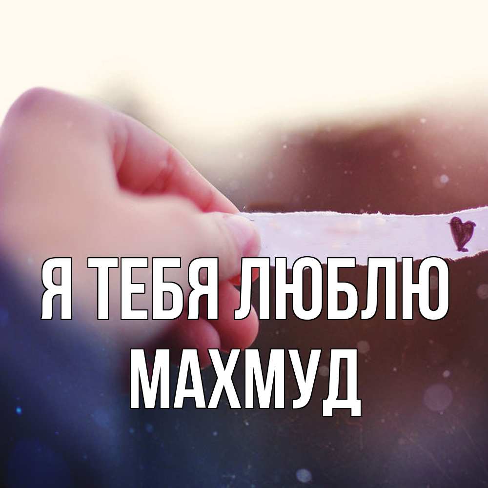 Открытка на каждый день с именем, Махмуд Я тебя люблю для тебя Прикольная открытка с пожеланием онлайн скачать бесплатно 