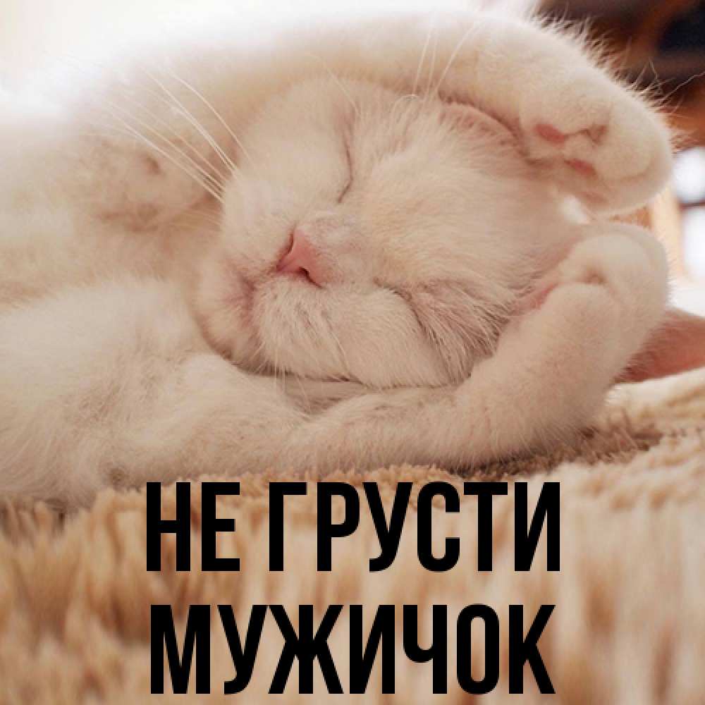 Открытка на каждый день с именем, Мужичок Не грусти Котенок спит Прикольная открытка с пожеланием онлайн скачать бесплатно 