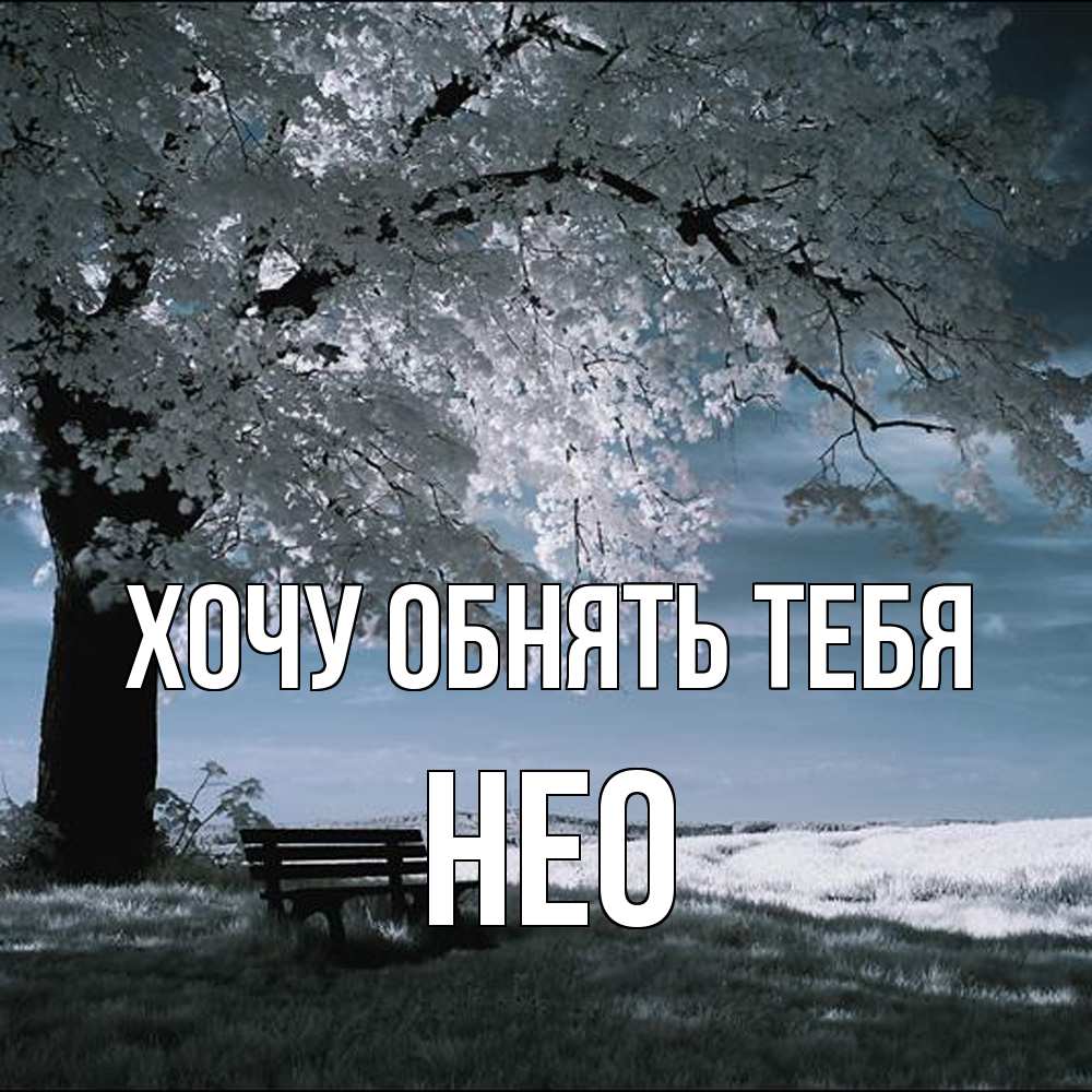 Открытка на каждый день с именем, Нео Хочу обнять тебя дерево Прикольная открытка с пожеланием онлайн скачать бесплатно 