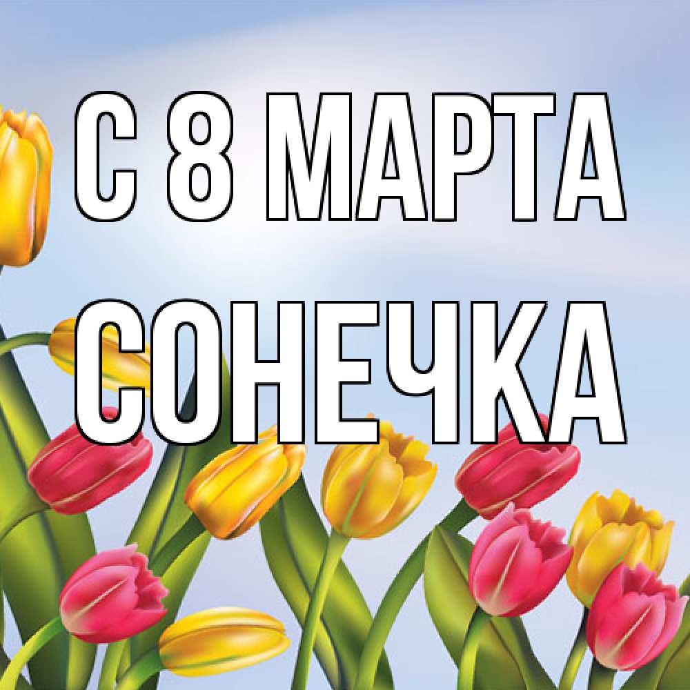 Открытка на каждый день с именем, Сонечка C 8 МАРТА международный женский день Прикольная открытка с пожеланием онлайн скачать бесплатно 