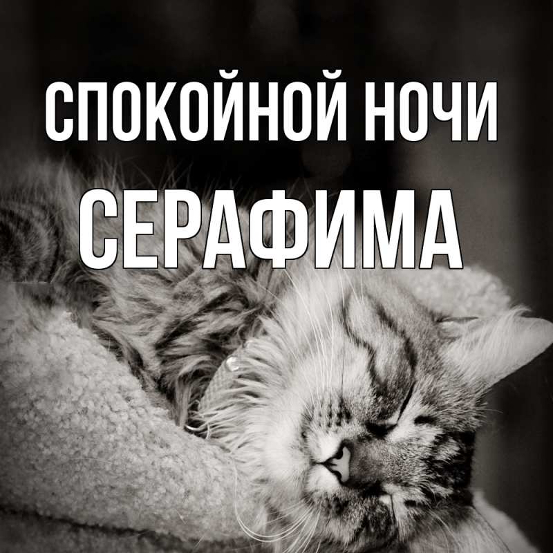 Картинка Спокойной ночи, Серафима