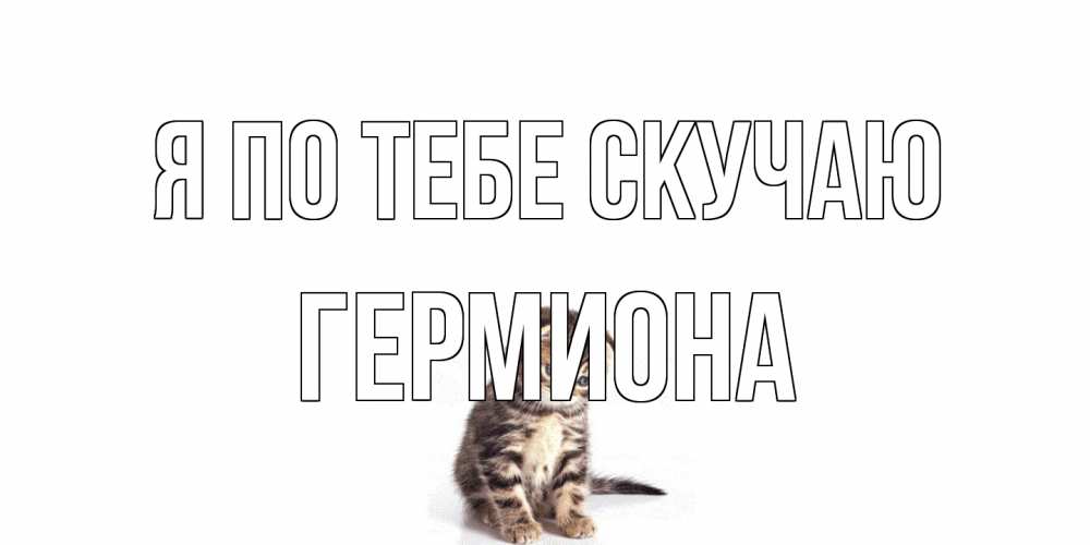Открытка на каждый день с именем, Гермиона Я по тебе скучаю кот Прикольная открытка с пожеланием онлайн скачать бесплатно 