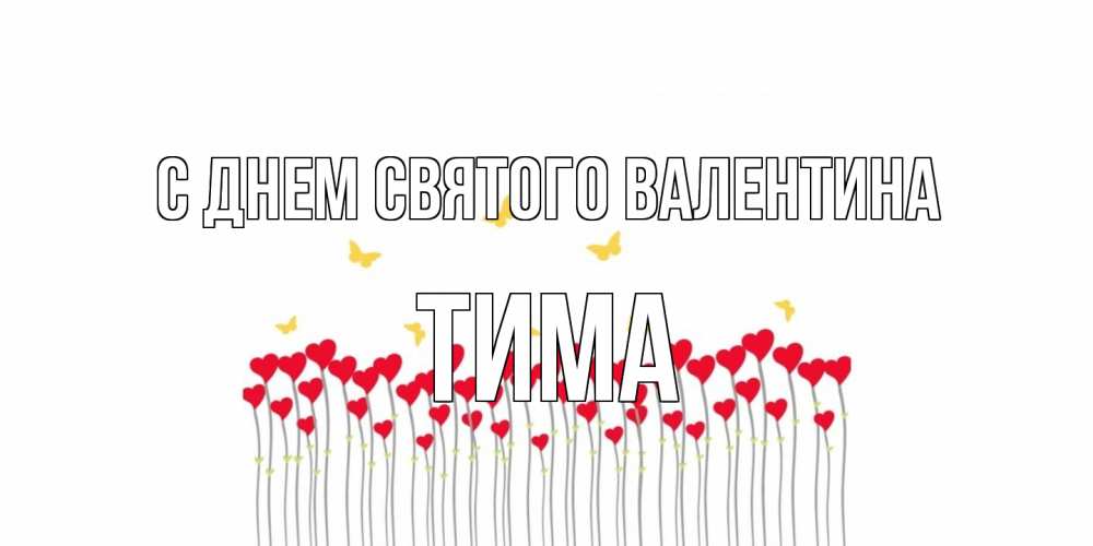Открытка на каждый день с именем, Тима С днем Святого Валентина шары много на палочках Прикольная открытка с пожеланием онлайн скачать бесплатно 