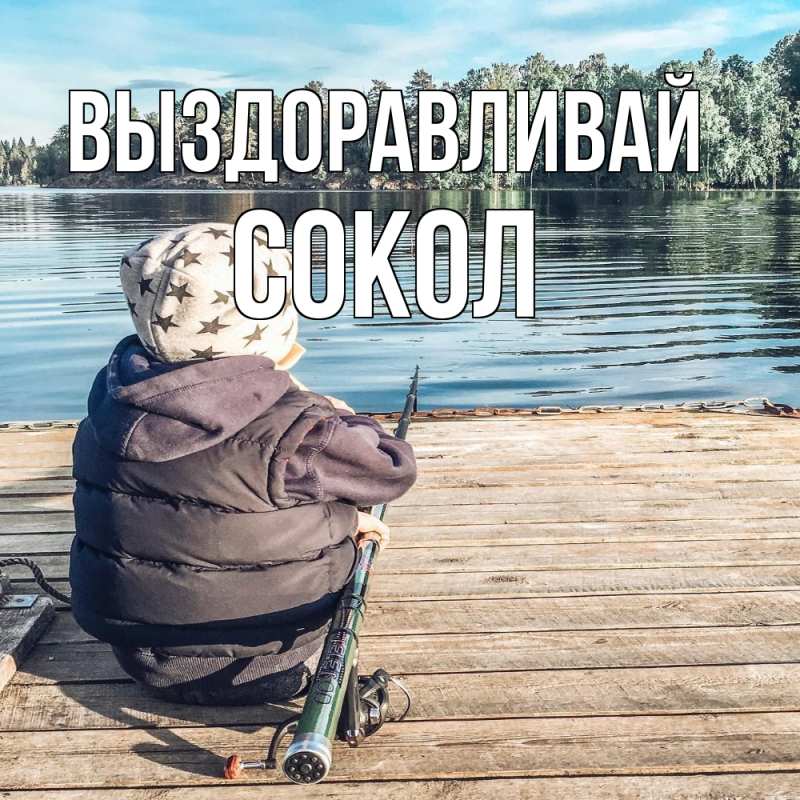 Картинка Выздоравливай, Сокол