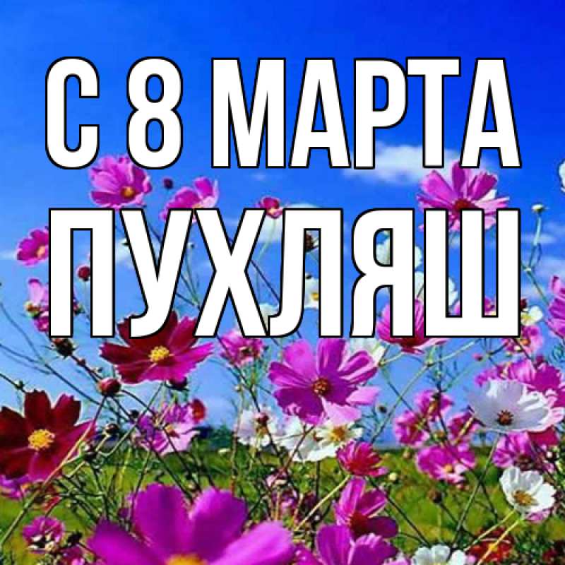 Картинка C 8 МАРТА, пухляш