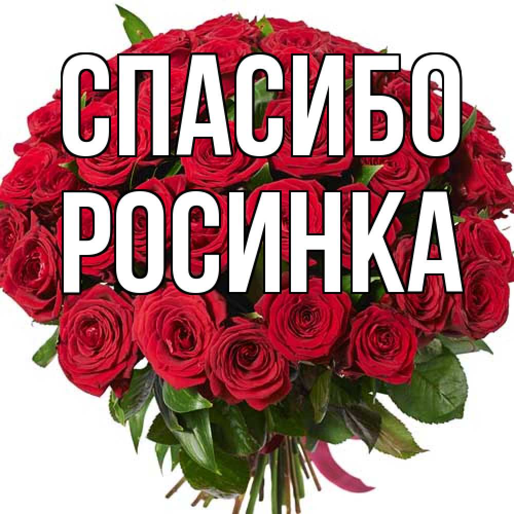 Открытка на каждый день с именем, Росинка Спасибо букет красных роз Прикольная открытка с пожеланием онлайн скачать бесплатно 