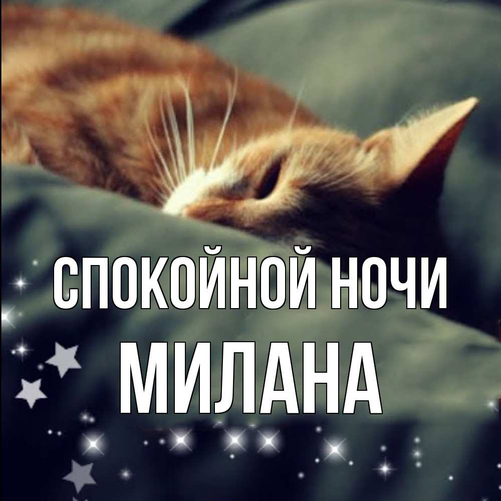 Открытка на каждый день с именем, Милана Спокойной ночи кроватка Прикольная открытка с пожеланием онлайн скачать бесплатно 