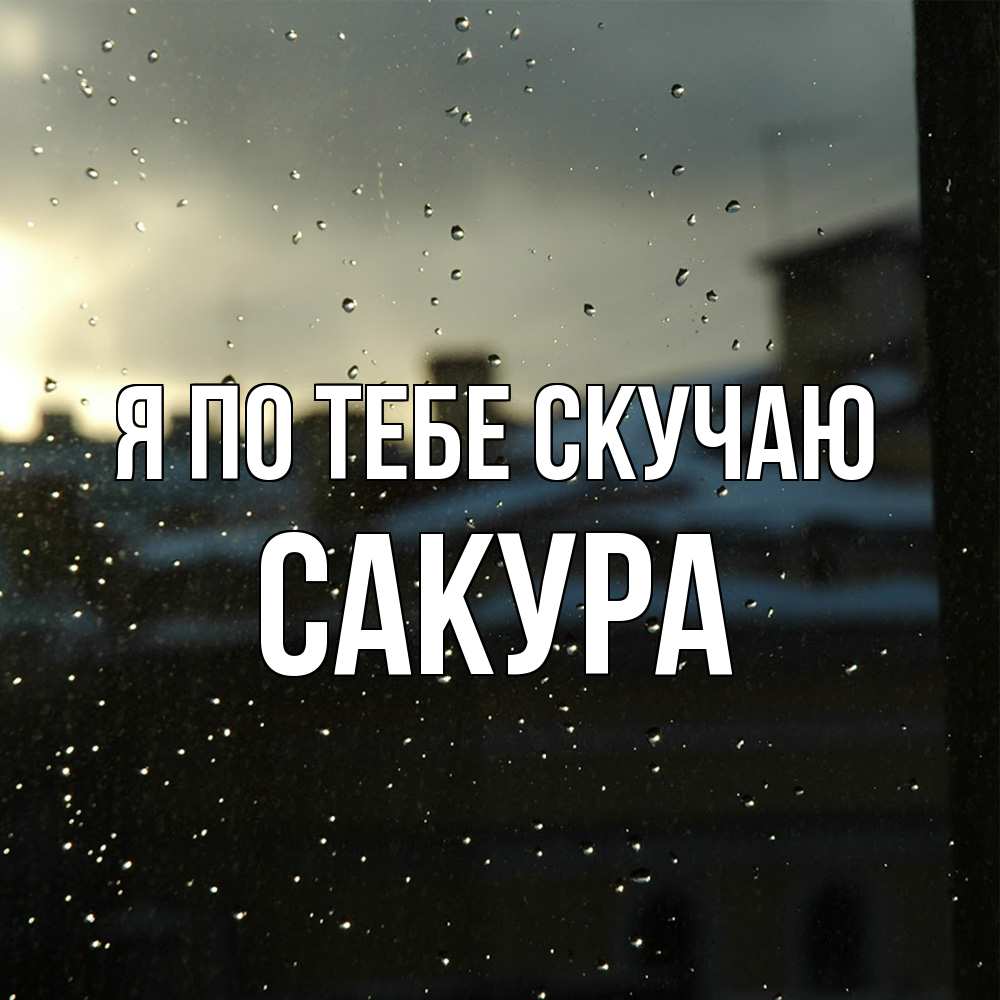 Открытка на каждый день с именем, Сакура Я по тебе скучаю капли на стекле Прикольная открытка с пожеланием онлайн скачать бесплатно 