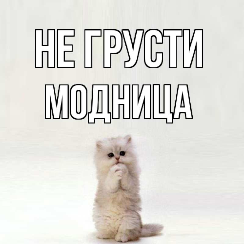 Картинка Не грусти, Модница