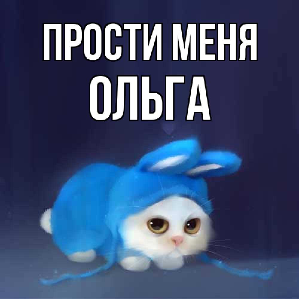 Открытка на каждый день с именем, Ольга Прости меня невинный котозай просит прощения Прикольная открытка с пожеланием онлайн скачать бесплатно 