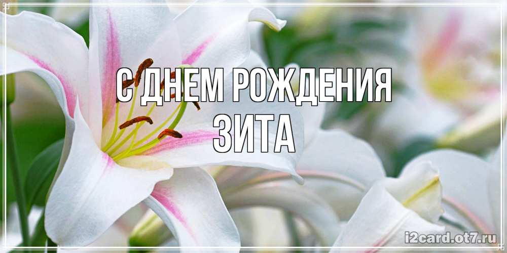 Открытка на каждый день с именем, Зита С днем рождения открытка с белой лилией Прикольная открытка с пожеланием онлайн скачать бесплатно 