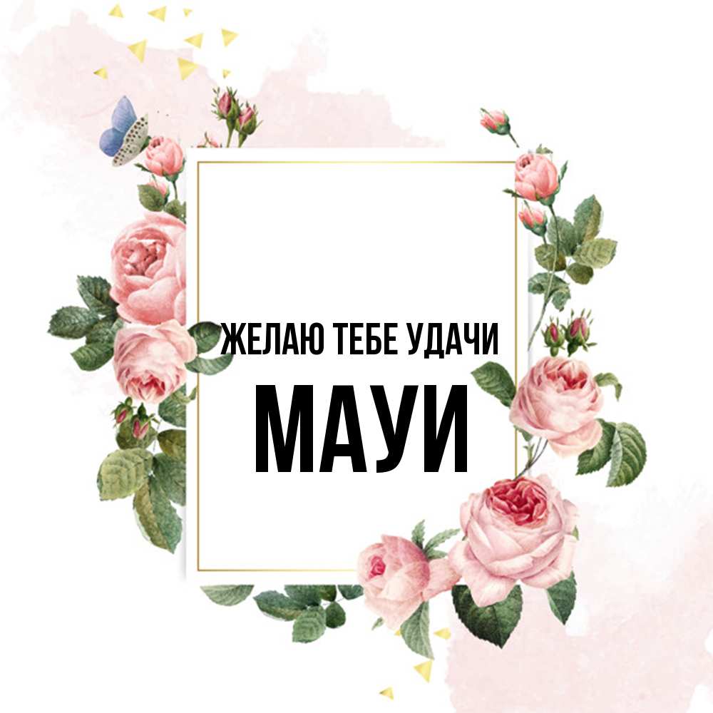 Открытка на каждый день с именем, Мауи Желаю тебе удачи розовые розы Прикольная открытка с пожеланием онлайн скачать бесплатно 
