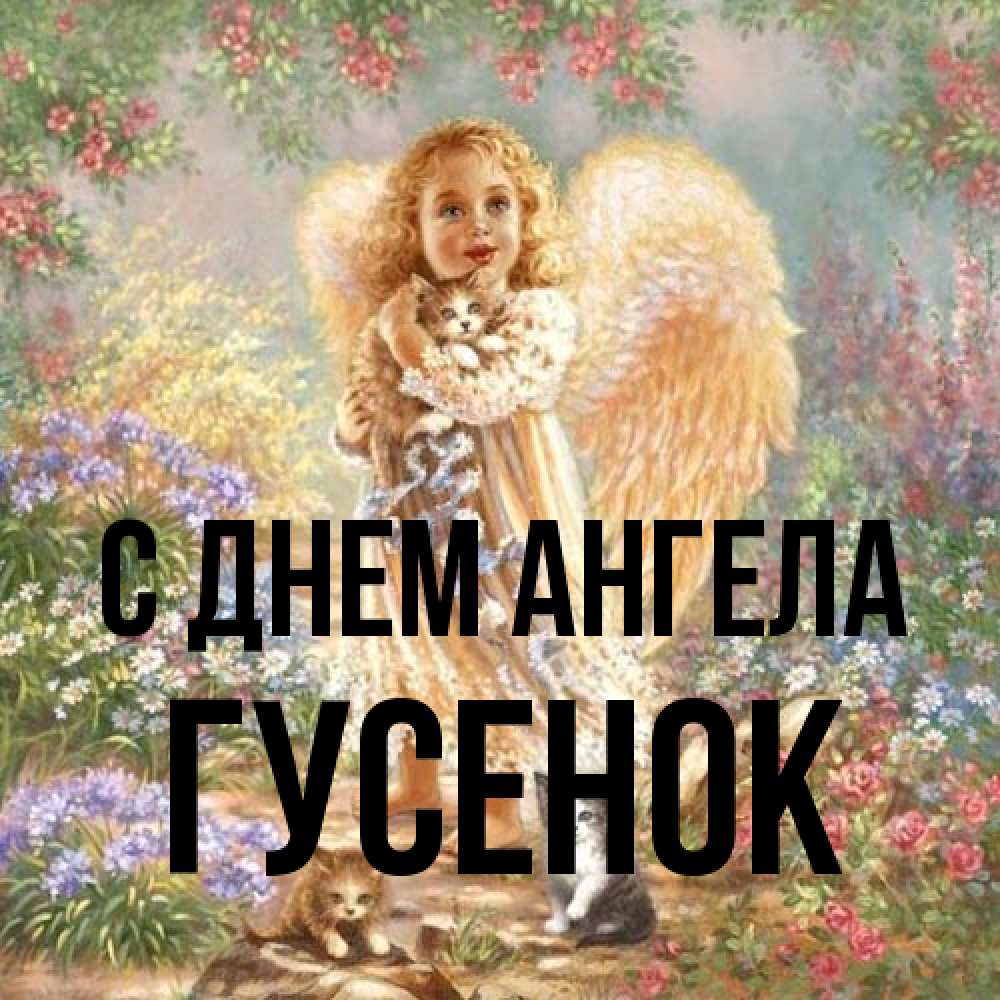 Открытка на каждый день с именем, гусенок С днем ангела держит котенка Прикольная открытка с пожеланием онлайн скачать бесплатно 