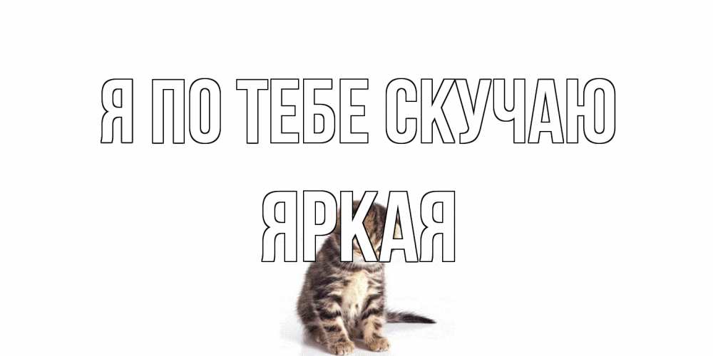 Открытка на каждый день с именем, яркая Я по тебе скучаю кот Прикольная открытка с пожеланием онлайн скачать бесплатно 