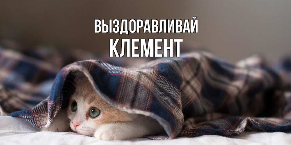 Открытка на каждый день с именем, Клемент Выздоравливай не болейте с котиком Прикольная открытка с пожеланием онлайн скачать бесплатно 