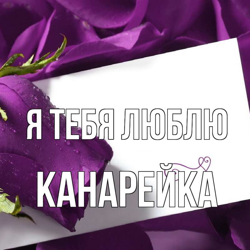 Картинка Я тебя люблю, Канарейка