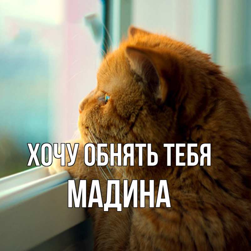 Картинка Хочу обнять тебя, Мадина
