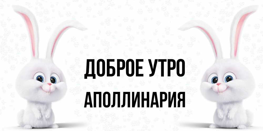 Открытка на каждый день с именем, Аполлинария Доброе утро кролики с длинными ушками Прикольная открытка с пожеланием онлайн скачать бесплатно 