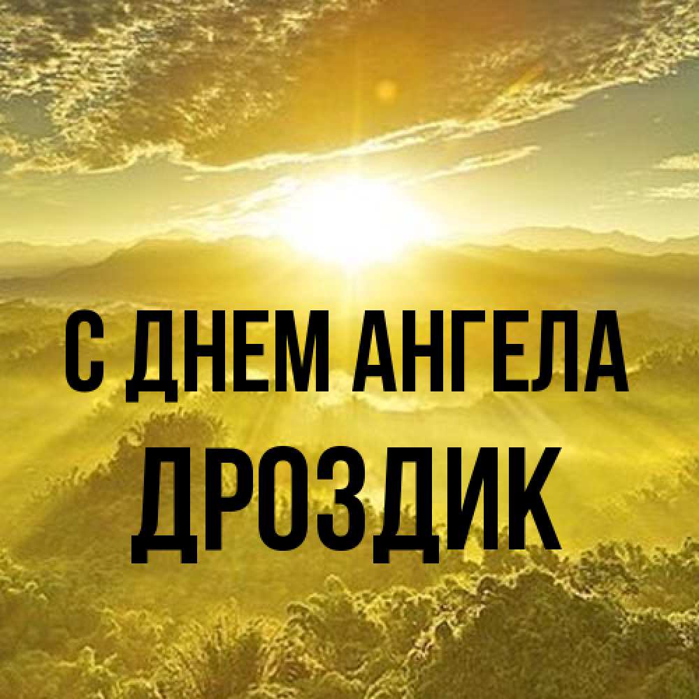 Открытка на каждый день с именем, Дроздик С днем ангела леса и небо в желтом Прикольная открытка с пожеланием онлайн скачать бесплатно 