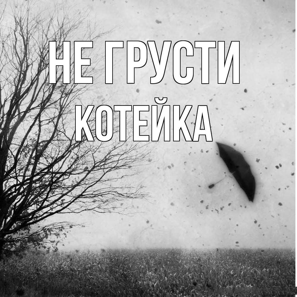 Открытка на каждый день с именем, Котейка Не грусти летящий зонтик Прикольная открытка с пожеланием онлайн скачать бесплатно 