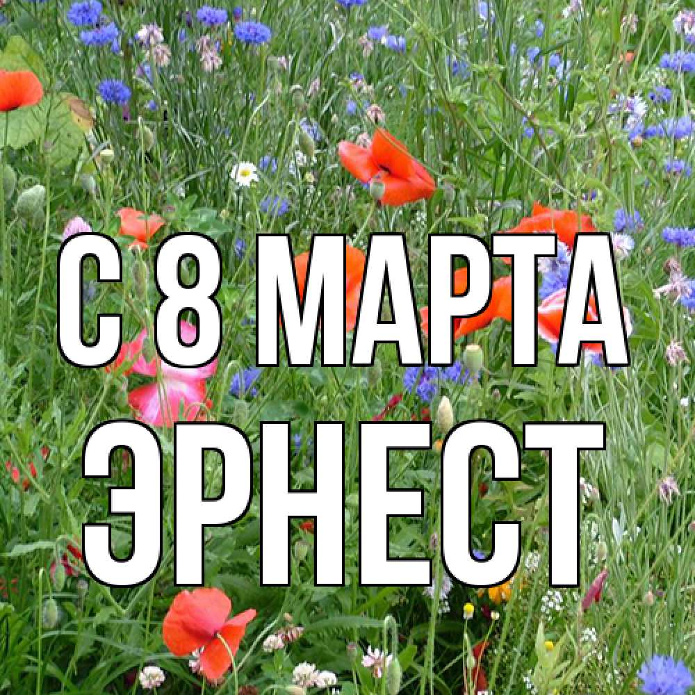Открытка на каждый день с именем, Эрнест C 8 МАРТА международный женский день 4 Прикольная открытка с пожеланием онлайн скачать бесплатно 
