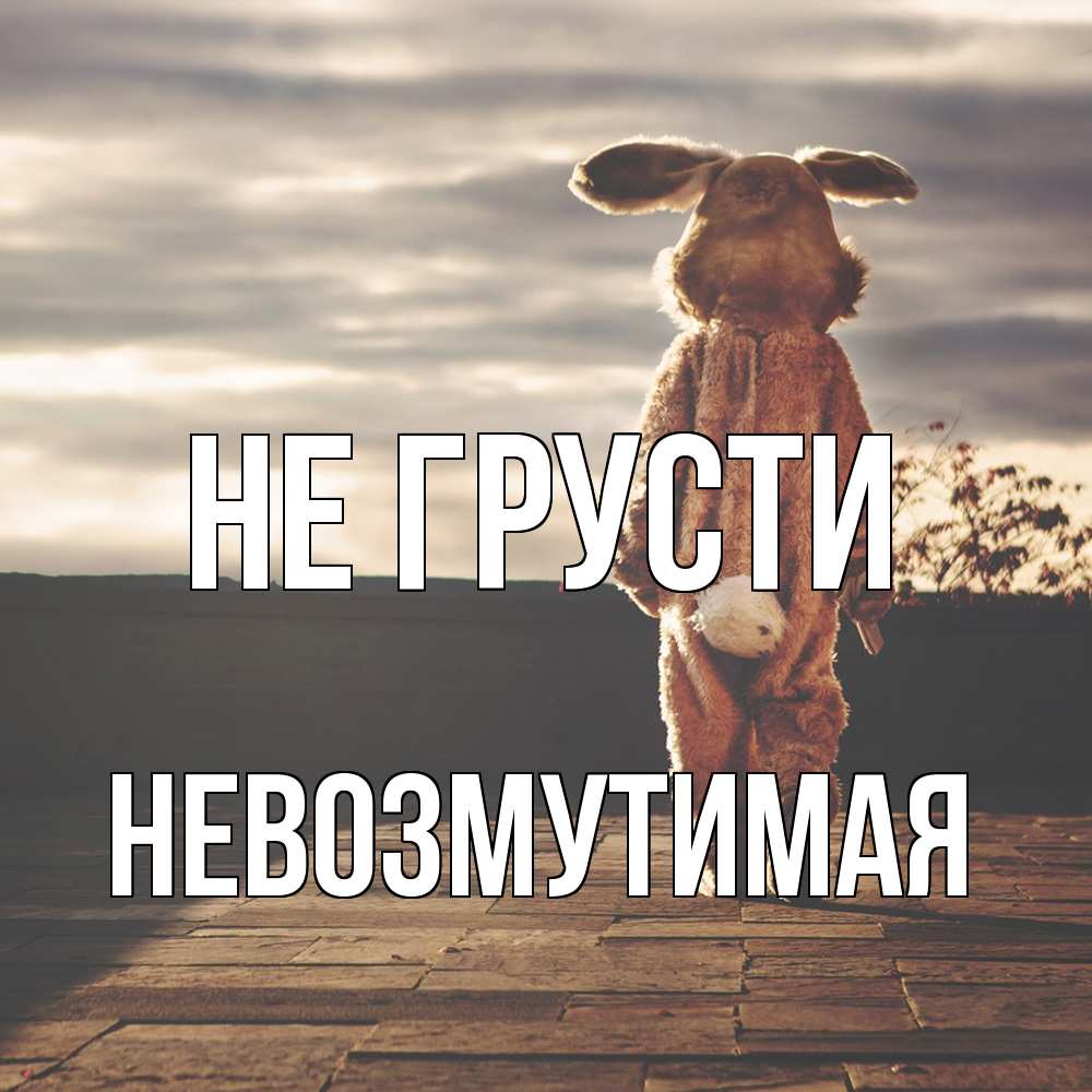 Открытка на каждый день с именем, Невозмутимая Не грусти со спины Прикольная открытка с пожеланием онлайн скачать бесплатно 