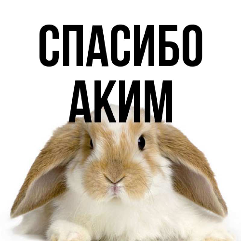 Картинка Спасибо, Аким
