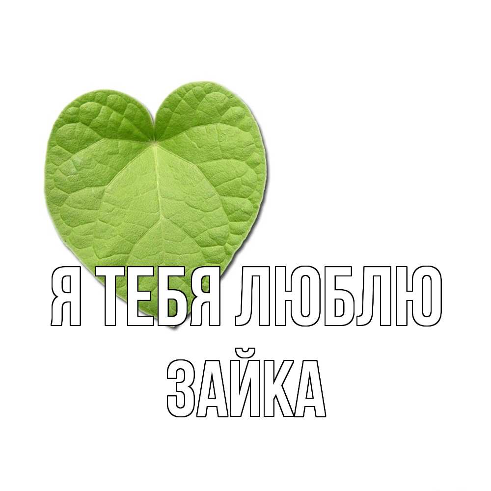 Открытка на каждый день с именем, Зайка Я тебя люблю тебе Прикольная открытка с пожеланием онлайн скачать бесплатно 