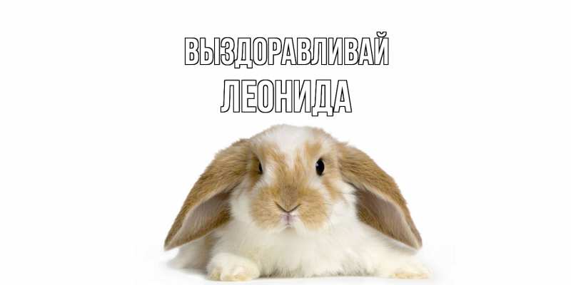 Картинка Выздоравливай, Леонида