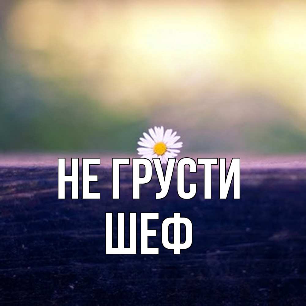 Открытка на каждый день с именем, Шеф Не грусти красота Прикольная открытка с пожеланием онлайн скачать бесплатно 