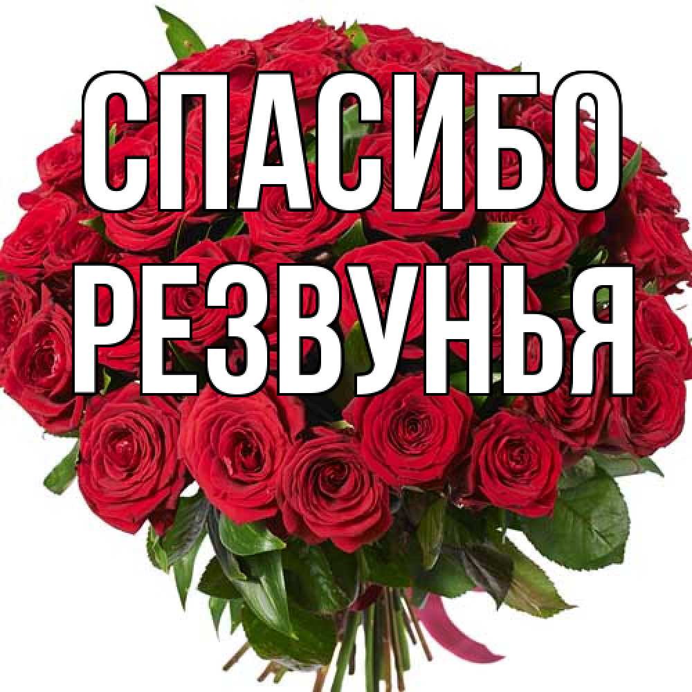 Открытка на каждый день с именем, Резвунья Спасибо букет красных роз Прикольная открытка с пожеланием онлайн скачать бесплатно 