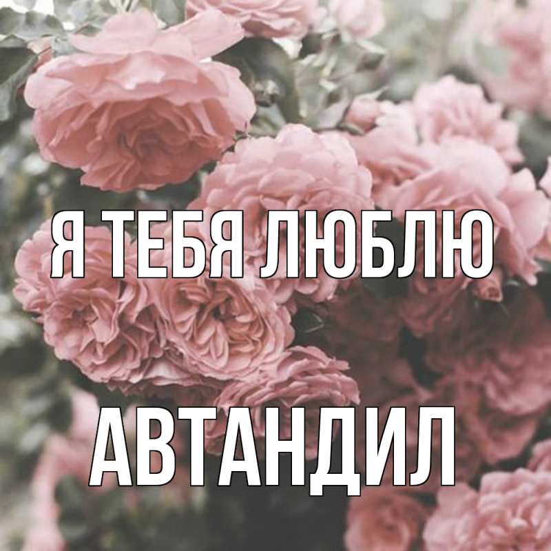 Картинка Я тебя люблю, Автандил