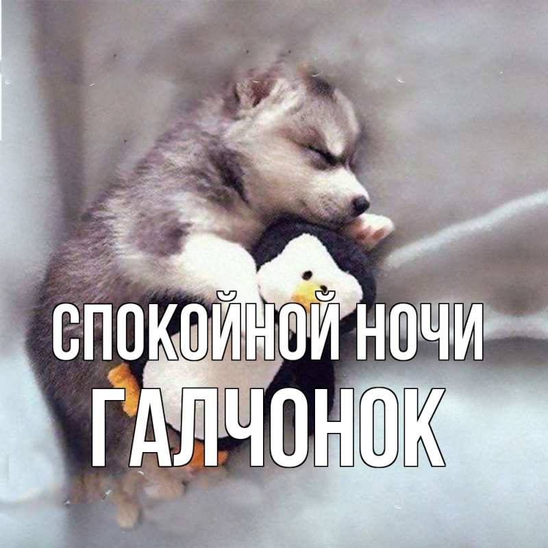 Картинка Спокойной ночи, галчонок
