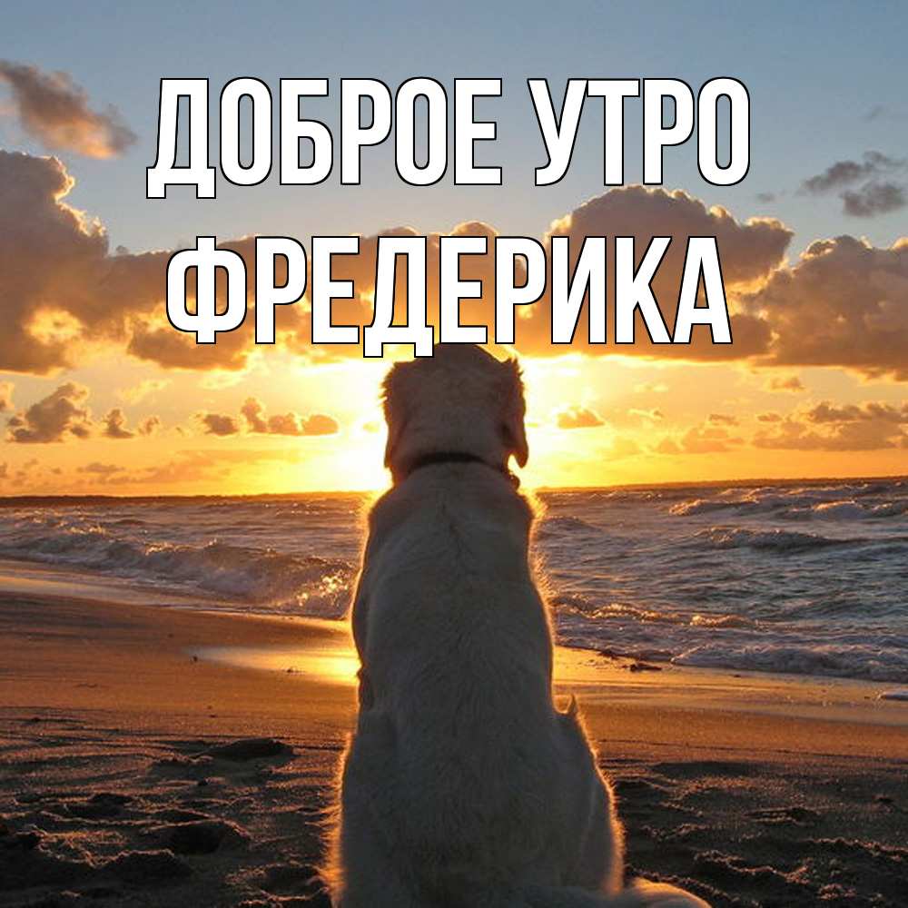 Открытка на каждый день с именем, Фредерика Доброе утро восход солнца Прикольная открытка с пожеланием онлайн скачать бесплатно 
