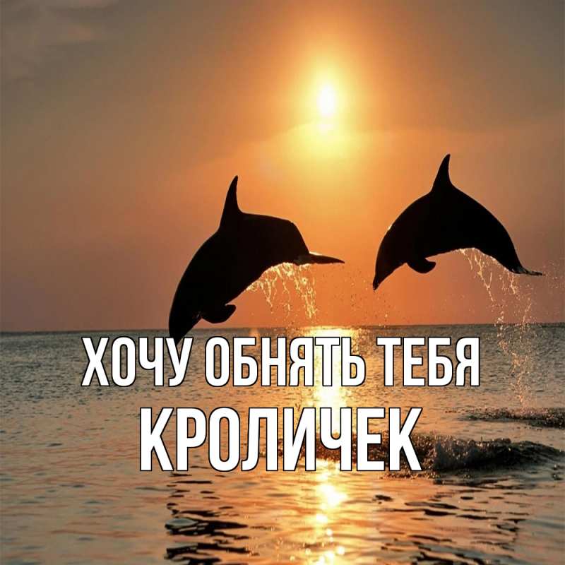 Картинка Хочу обнять тебя, кроличек