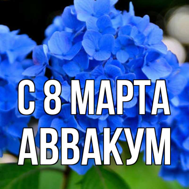 Картинка C 8 МАРТА, Аввакум