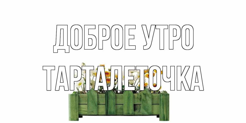 Открытка на каждый день с именем, Тарталеточка Доброе утро цветы Прикольная открытка с пожеланием онлайн скачать бесплатно 