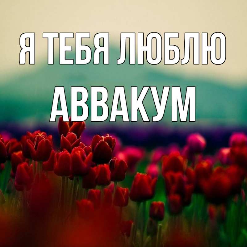 Картинка Я тебя люблю, Аввакум