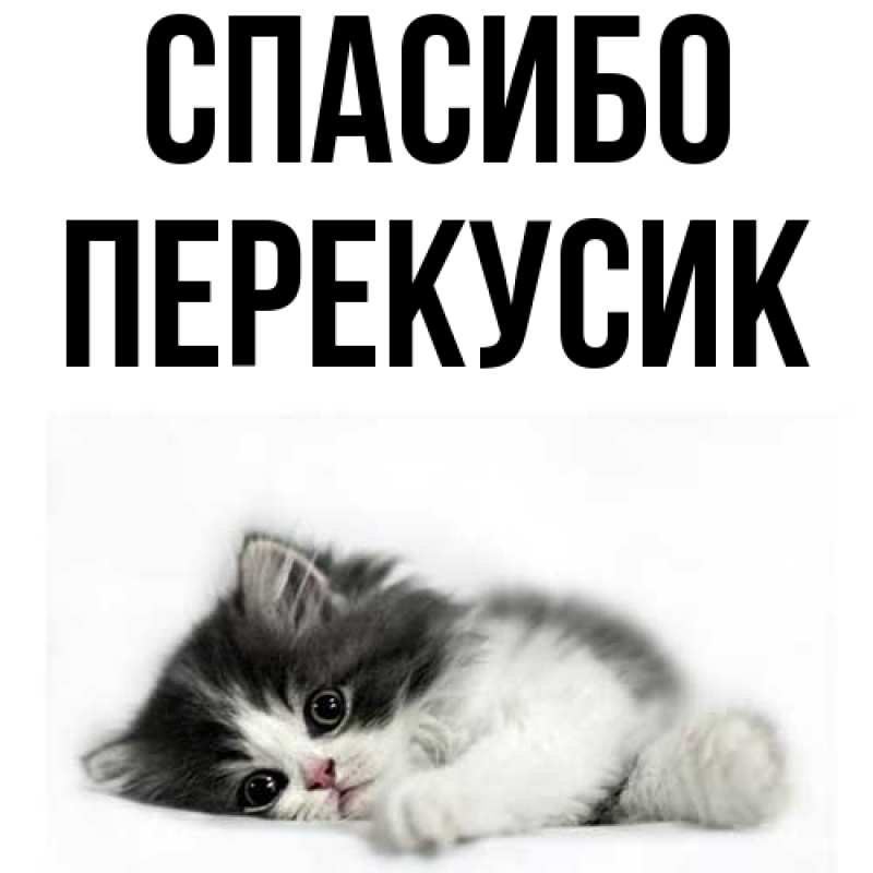 Картинка Спасибо, Перекусик