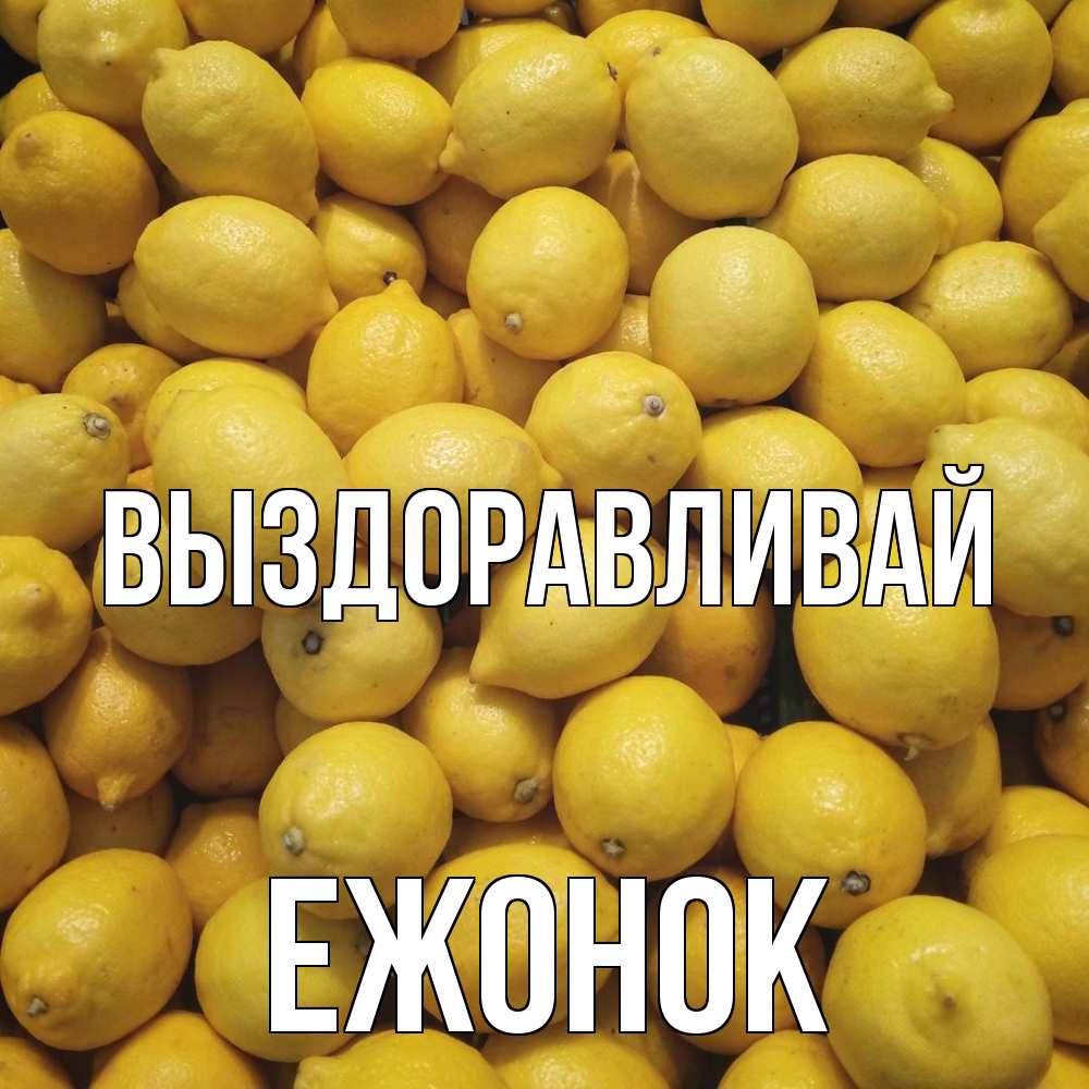 Открытка на каждый день с именем, Ежонок Выздоравливай это точно поможет Прикольная открытка с пожеланием онлайн скачать бесплатно 
