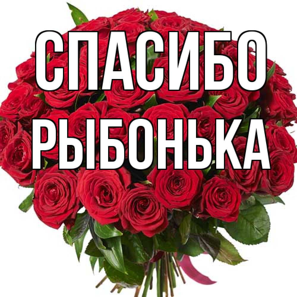 Открытка на каждый день с именем, Рыбонька Спасибо букет красных роз Прикольная открытка с пожеланием онлайн скачать бесплатно 