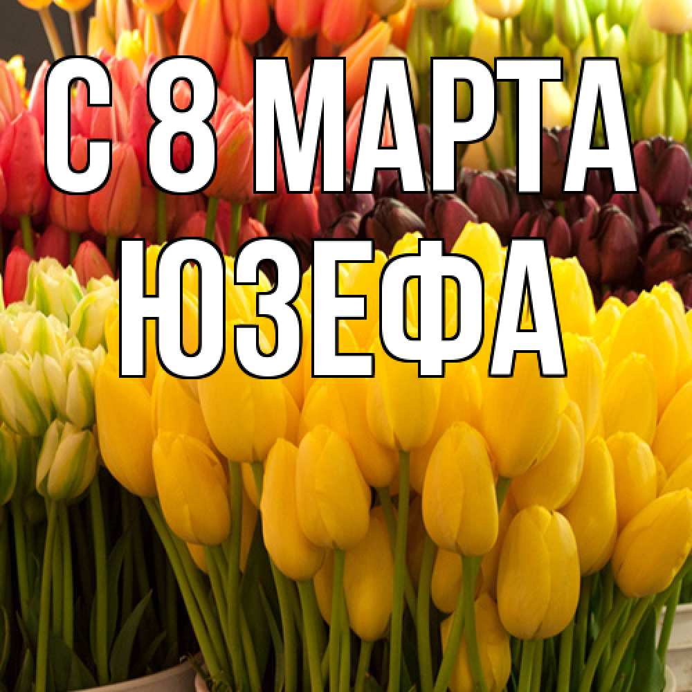 Открытка на каждый день с именем, Юзефа C 8 МАРТА цветы Прикольная открытка с пожеланием онлайн скачать бесплатно 